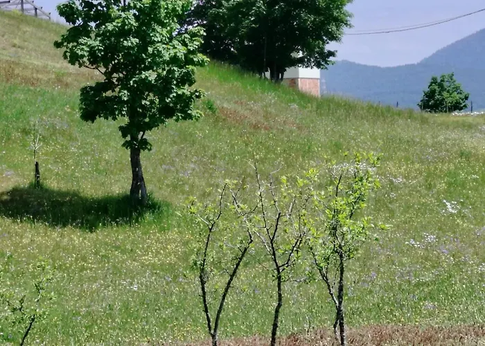 Holiday Home Apartman Aco